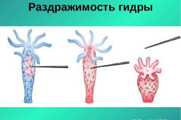 Кракен даркнет лол
